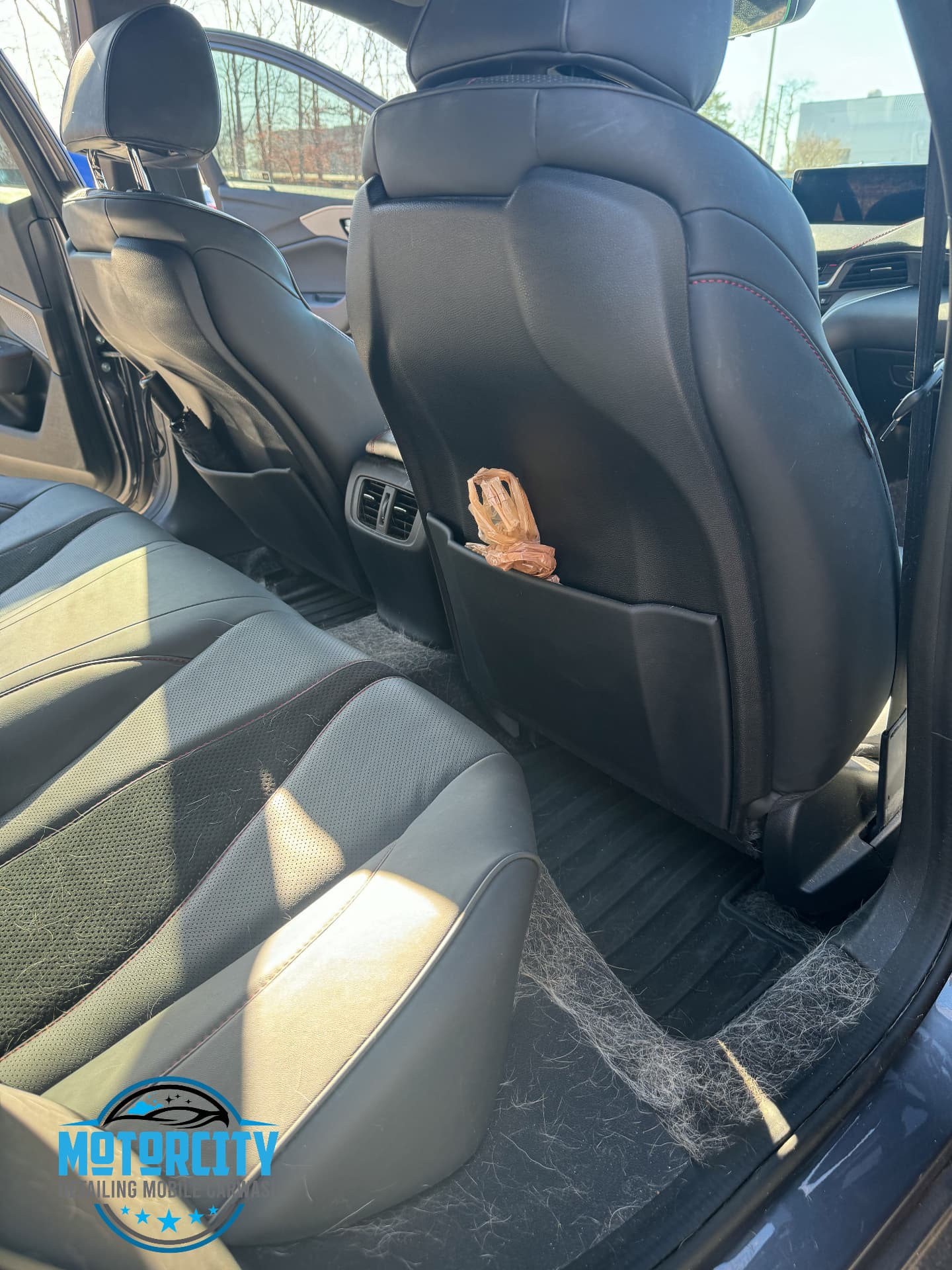 Rear seats and floor covered in pet hair before a full interior detail
